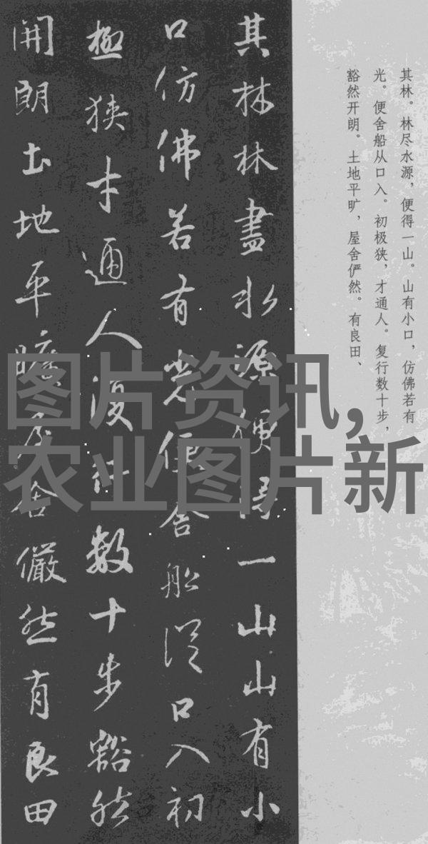 五味子生态学探秘药材种植合作公司的自然之冠