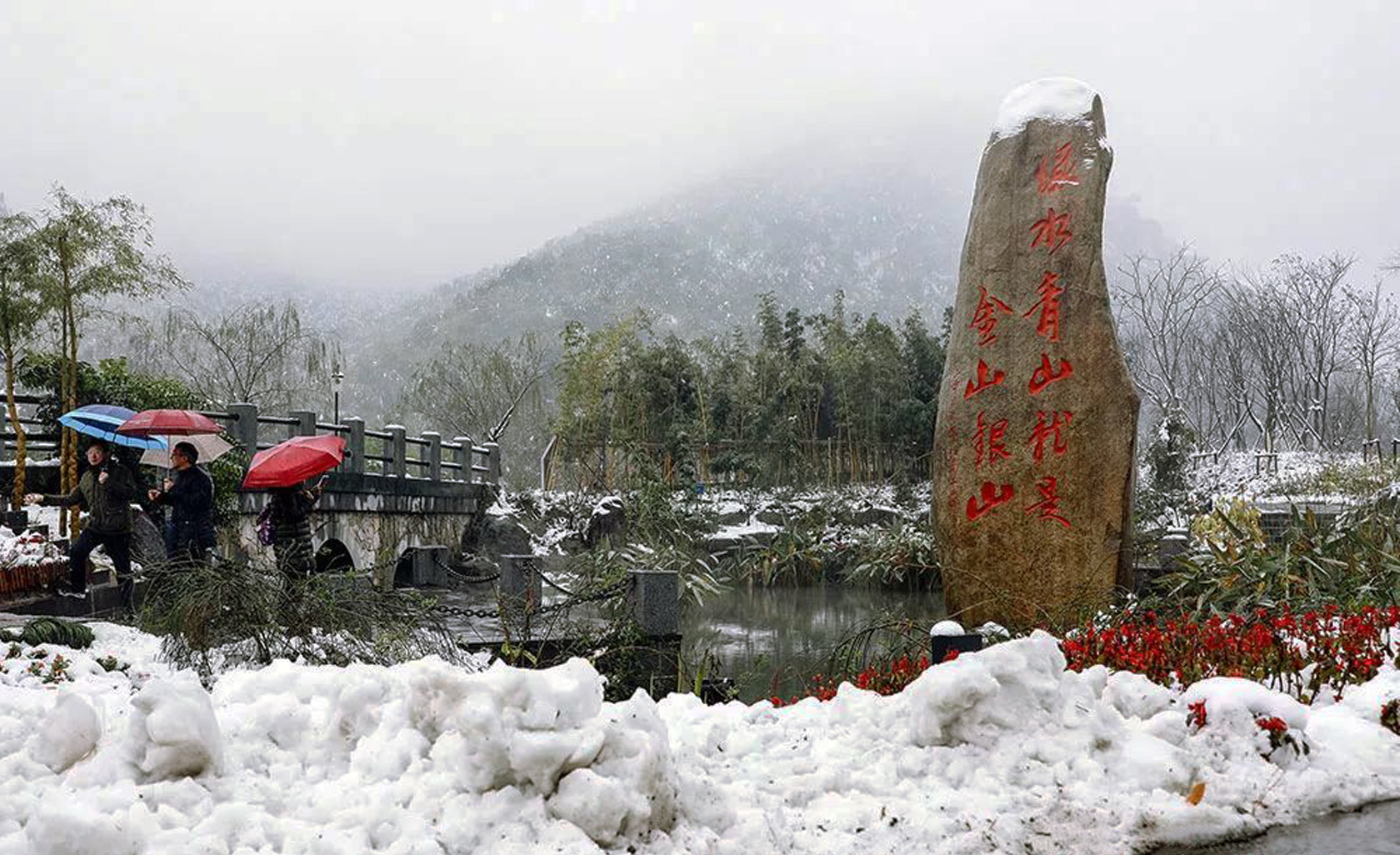 常见的乔木绿化苗木及其应用场景