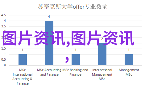 完整指南从初学者到高手养蜂技术视频全过程解析