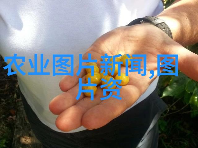 南美白对虾轮捕轮放养殖新模式