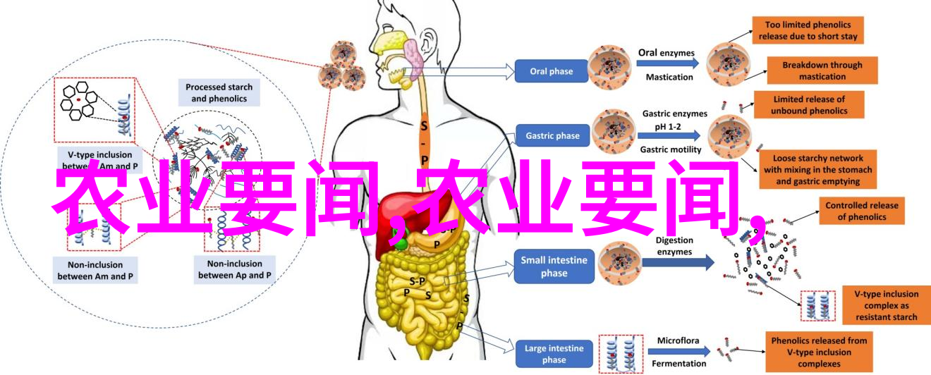 穿进肉文心慌慌深度解析肉文中的心理与情感