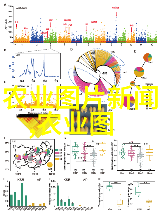 丰收季节新技术让农业更绿