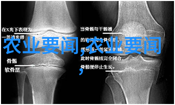 超量进食一种难以抗拒的诱惑