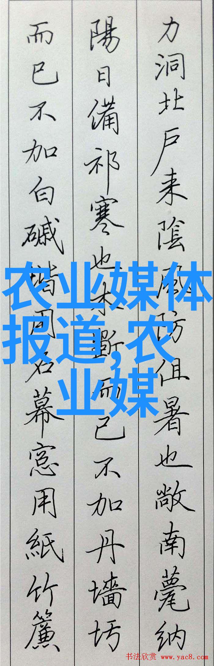 水果之选甜蜜的冠军