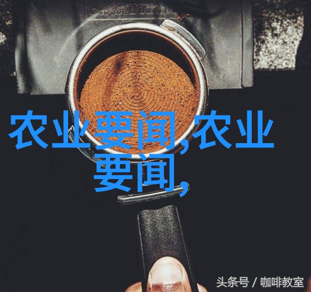 生长周期管理策略科学调控牛奶生产力和肉质特性