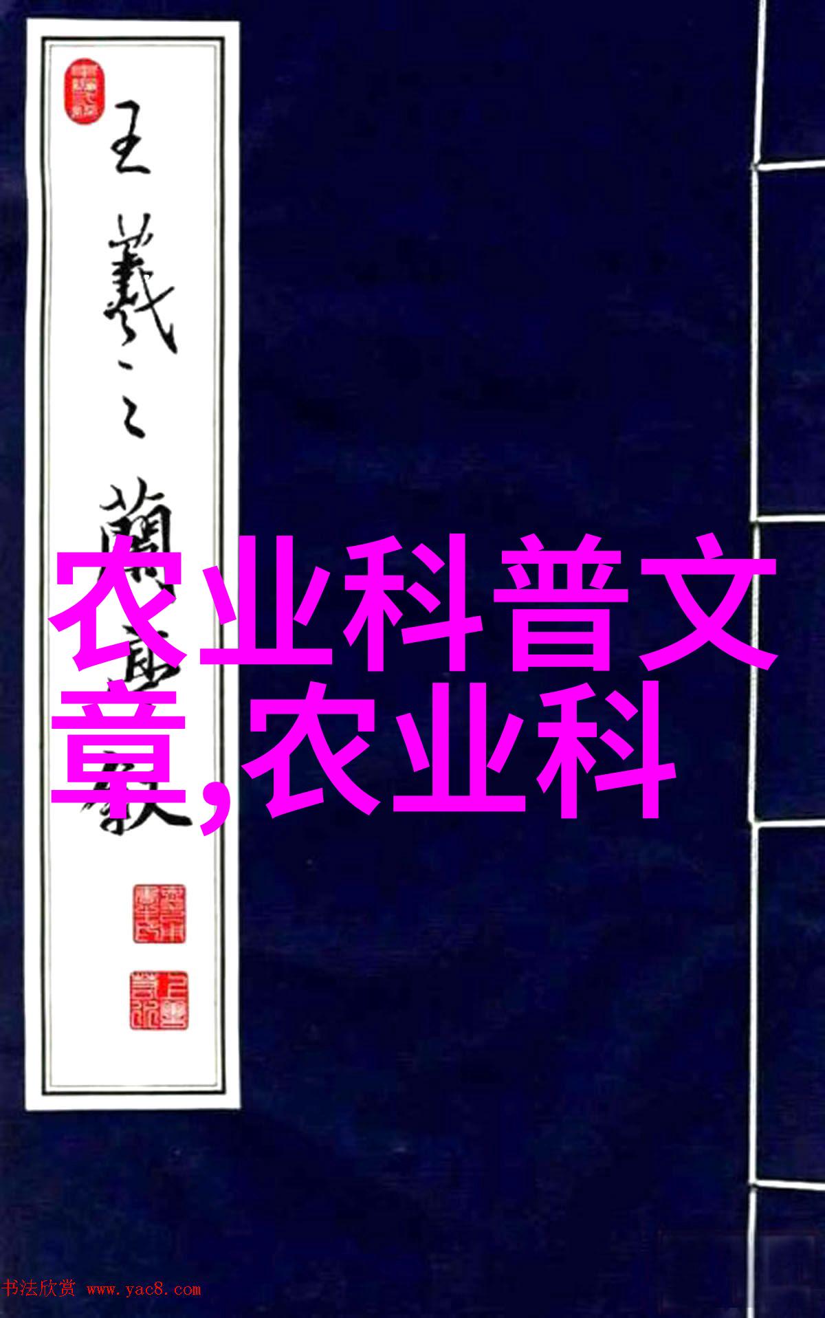 霍格沃茨魔法学校入学申请表揭开神秘的魔术教育之门