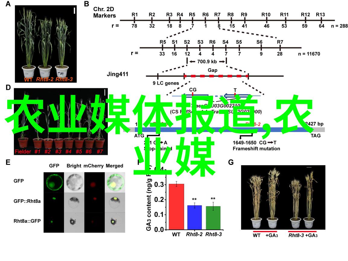 国家出台新措施预计对日常生活产生影响深远