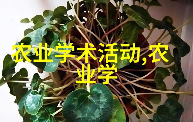 药材种植新宠从土豆到金银花跟着大佬种出钱草