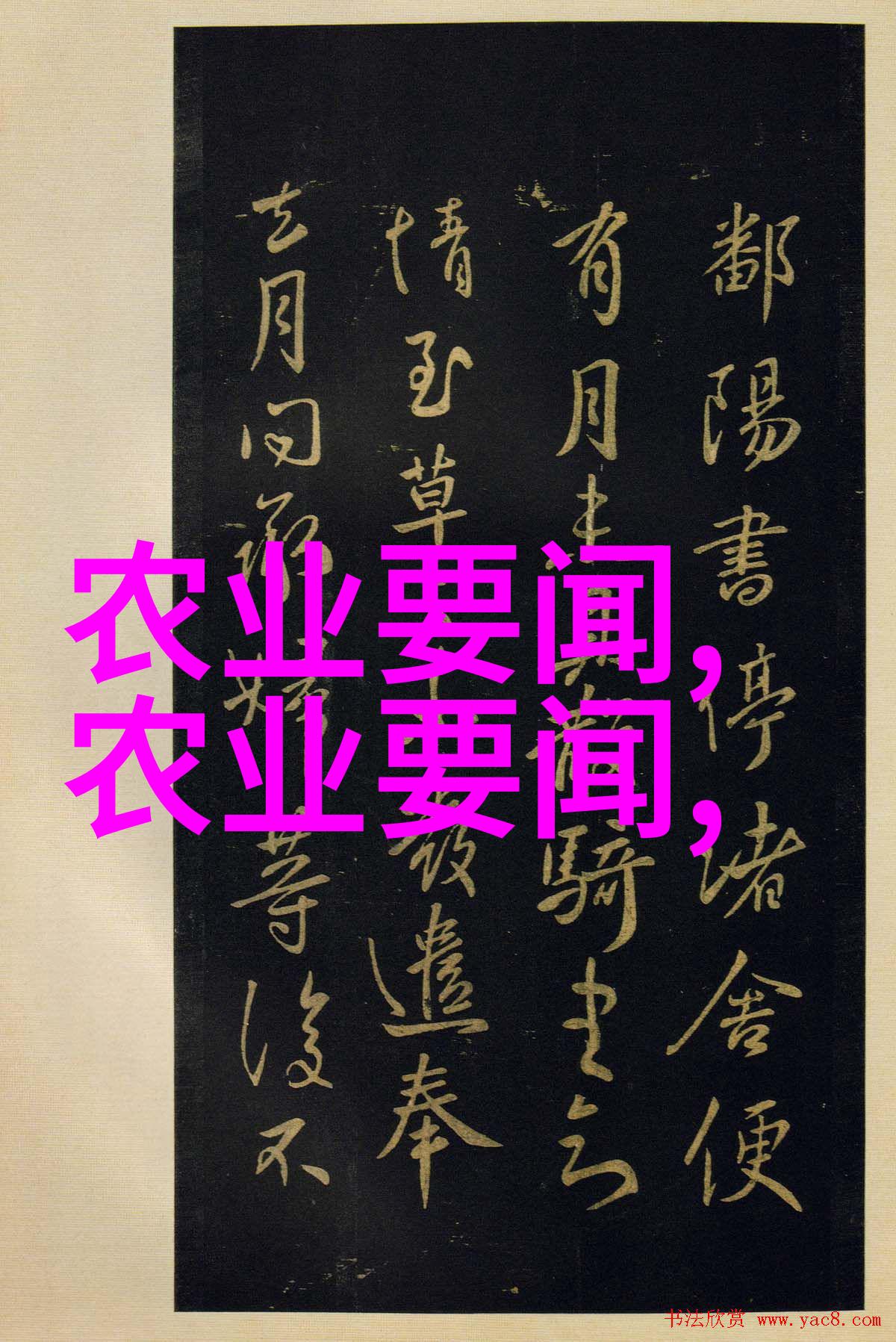 绿意盎然的室内蔬菜奇迹