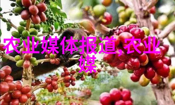 我们应该如何利用科技手段来优化和改进农业生产模式从而加速获取利润速度