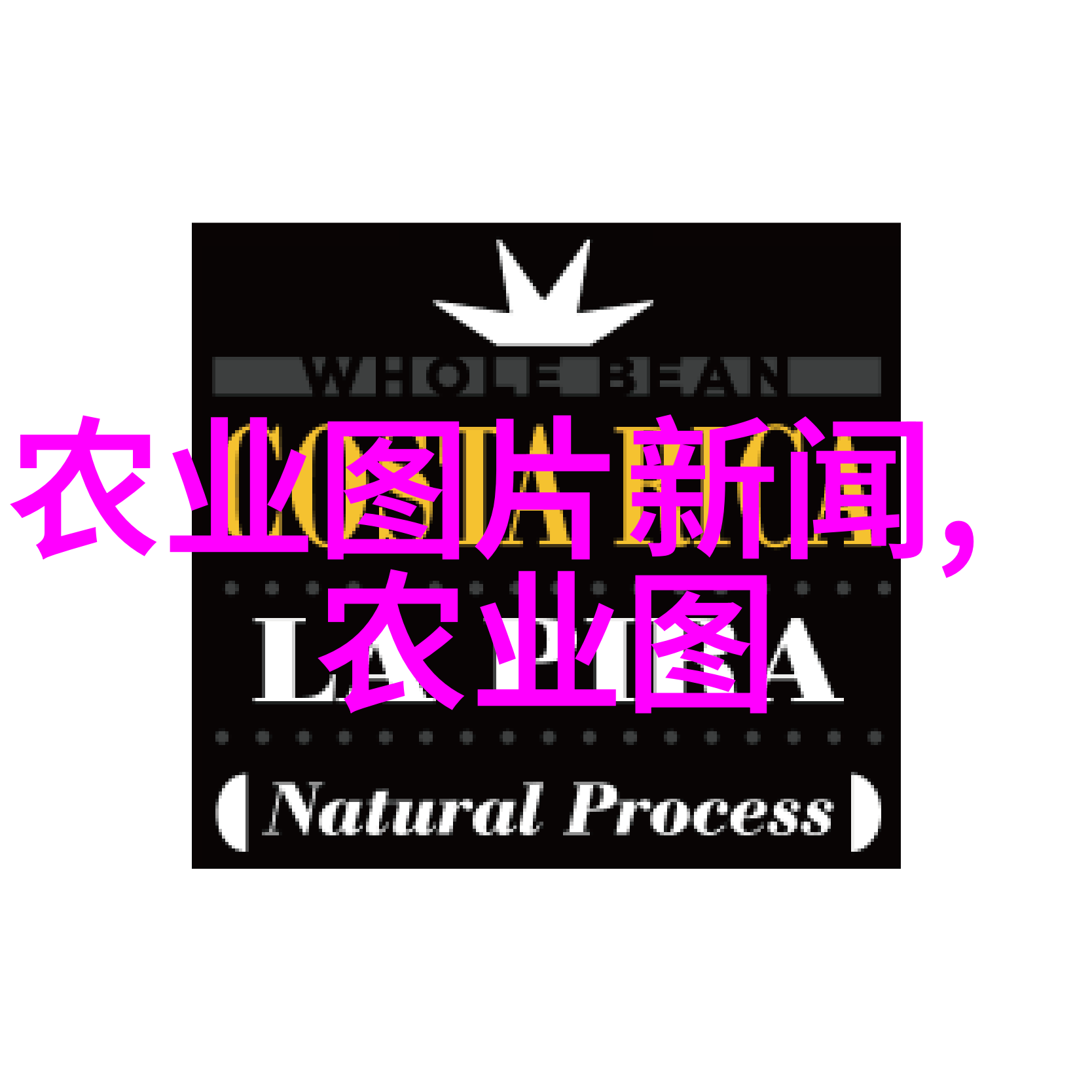 水蛭的养殖技术我来教你怎么搞注以下内容为示例实际文章内容需由作者自行撰写