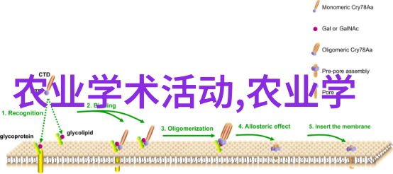 空间整合生活品质提升现代家居中的室内植物展示方法