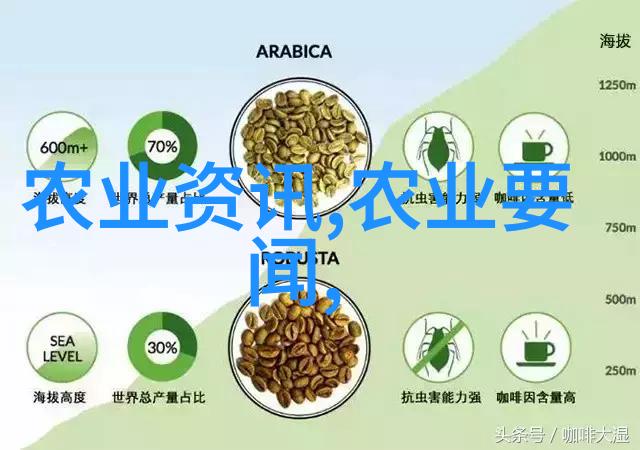 茶叶的秘密揭开香醇之源