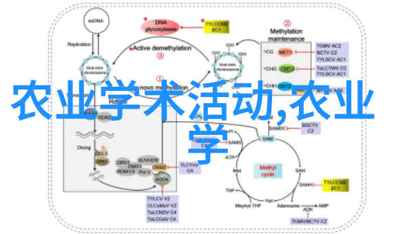 农场日记牧场的喂养秘密