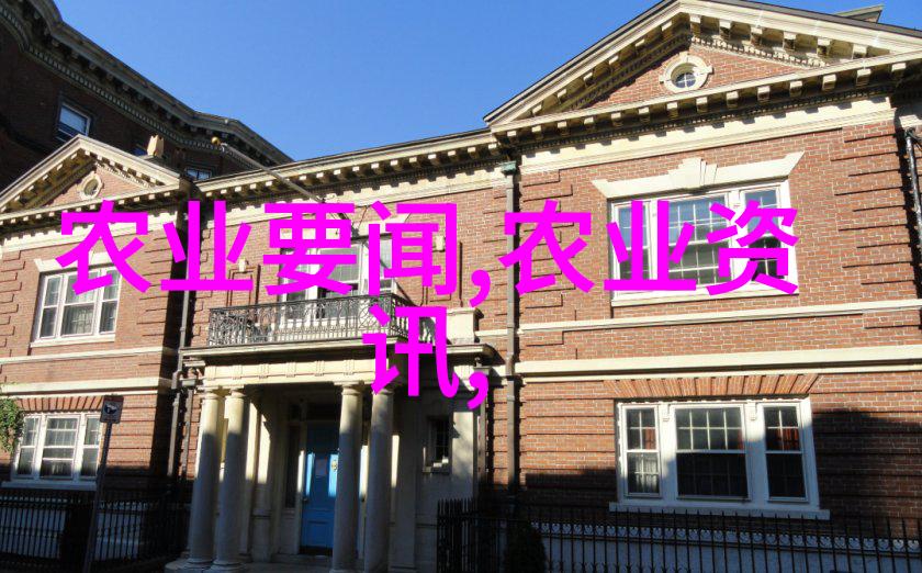 养蜜蜂技术视频全集跟我一起学从零到英雄的养蜂日记