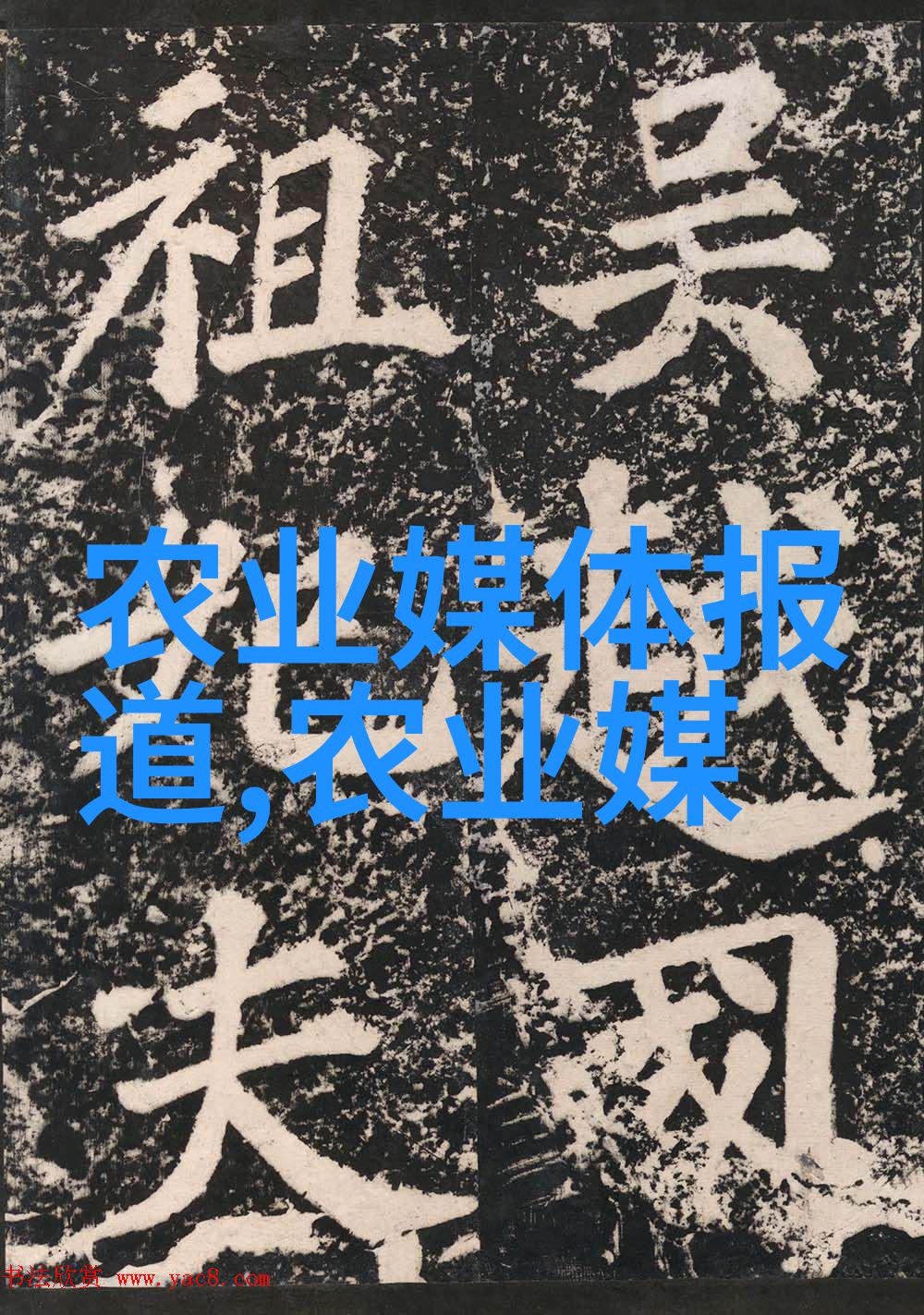 乡村富源探秘2022年最赚钱的农业产业链