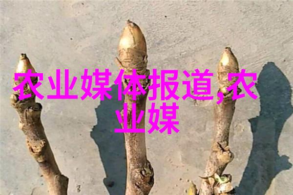 黄粉虫养殖技术视频解析从基础知识到高效管理的全程指南