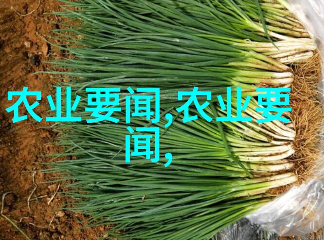 简单招工创意无限的就业机会