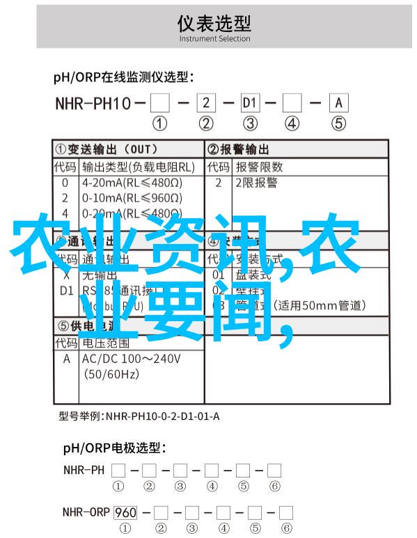 大棚建设成本分析10亩连栋的投资回报预测