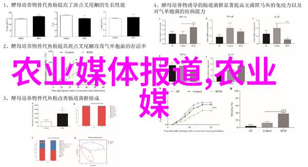 星空传媒乱码一二三区绚烂夜空下的媒体混沌