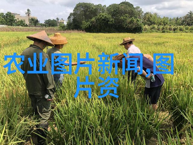 水利水电技术的发展历程与现状