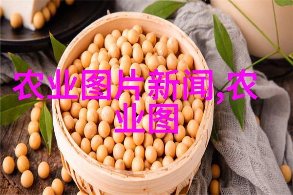 休闲 agriculture 的兴起与其对城市居民生活的影响