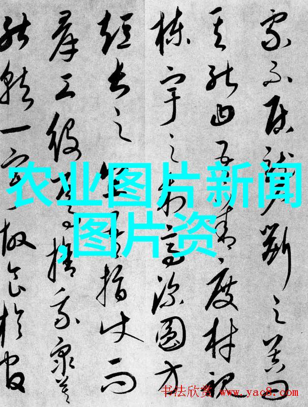 土鸡养殖技术视频我来教你如何把土鸡变成金钱的摇钱树