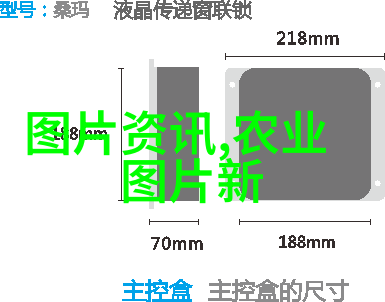 牧场丰收探究养牛国家补贴政策的内涵与作用