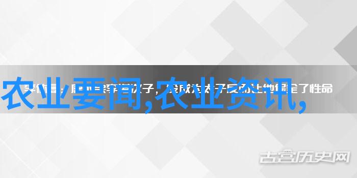 秋日阳台上的榴莲盛宴如何生长与种植