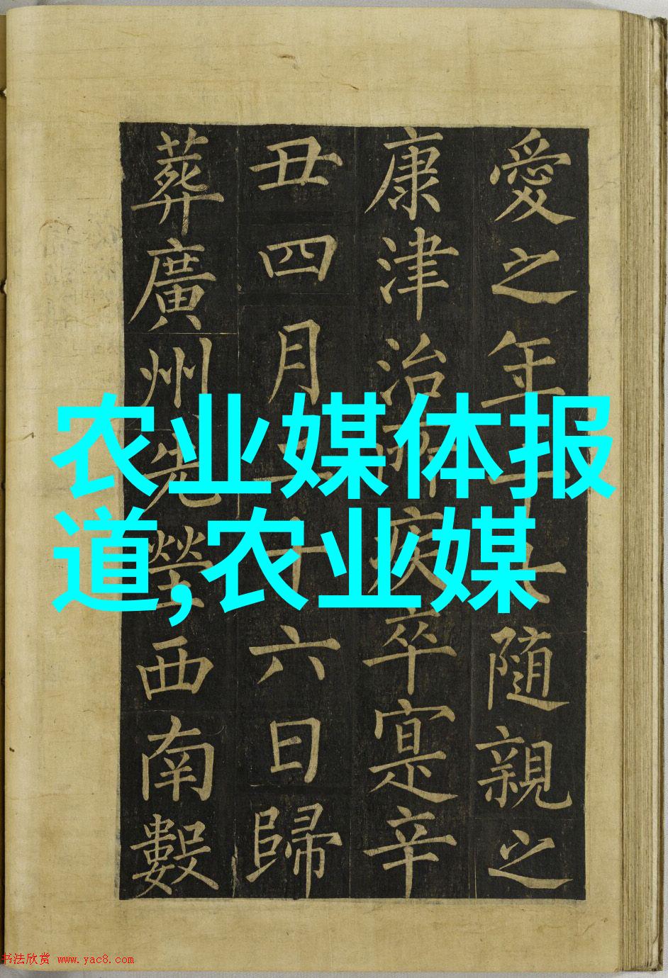 法律法规常识基本知识考试题库精准检索系统学习的法律智囊团