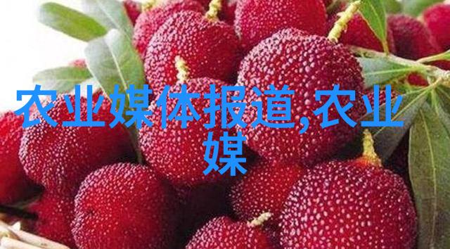 农业专家我家的菜园子怎么才能更有产量