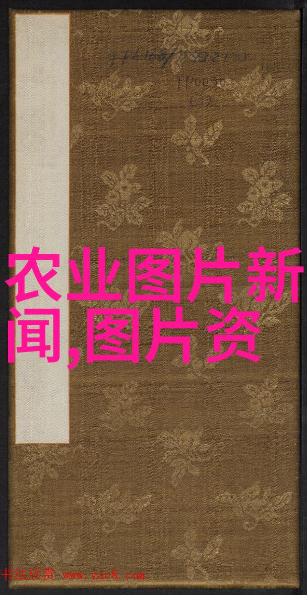 山鸡养殖技术全解析从选育到饲养的每个细节