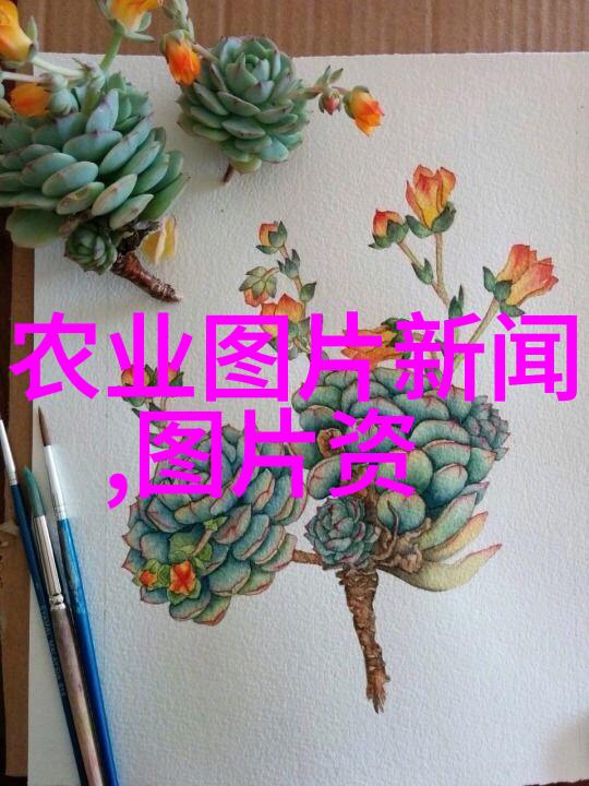 常见花卉植株管理技术亲自养花的秘诀你要了解了