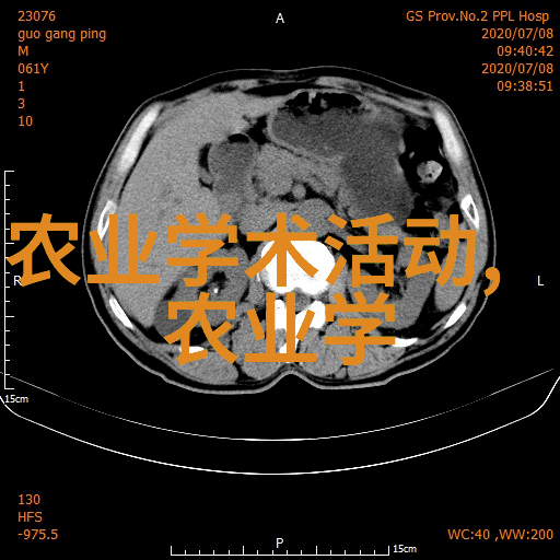 蜜蜂养蜂技术我是怎么学会和蜜蜂一起忙活的