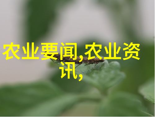 探索水生草原湖羊养殖技术视频解析