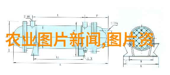 内蒙古自主培育奶牛种源勇夺全国第一