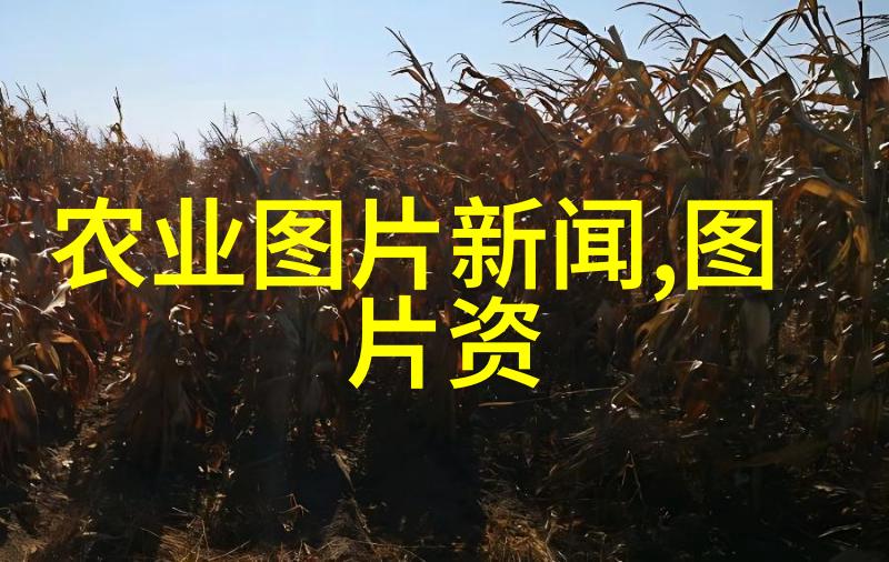 专家建议不要在卧室摆放植物我不太懂这样做到底有什么好处