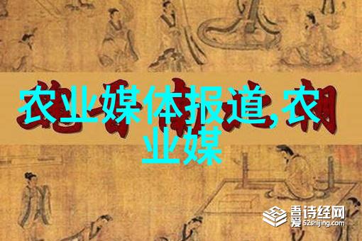 斗鸡养殖技术我来教你怎么把斗鸡培养得又壮又强