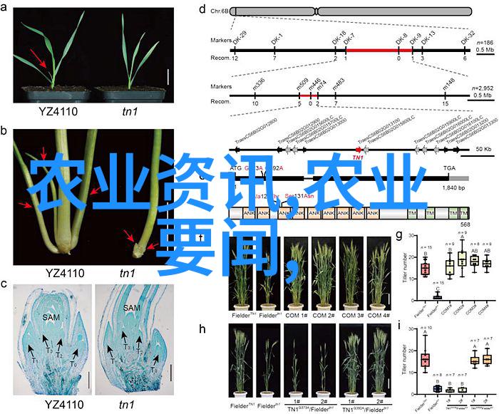 自学法律-从零到英雄一路上的知识与经验分享