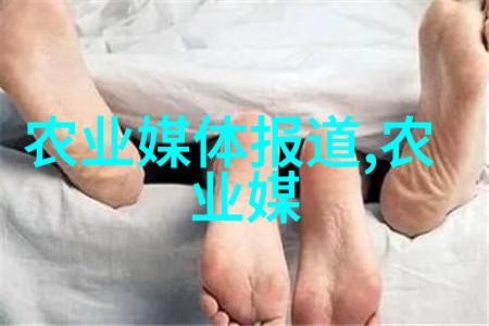 农业种植方面的书籍-丰收指南深度解读现代农业种植技术