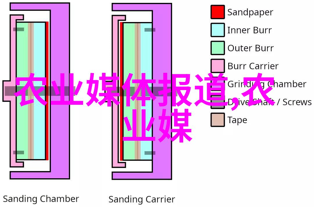 神经科学 神经科学属于什么专业