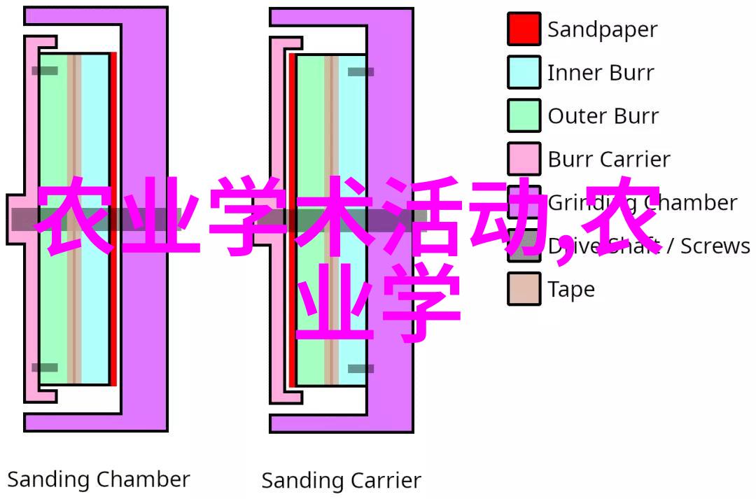 为何现在是购买12公分彩叶豆梨树苗的好时机