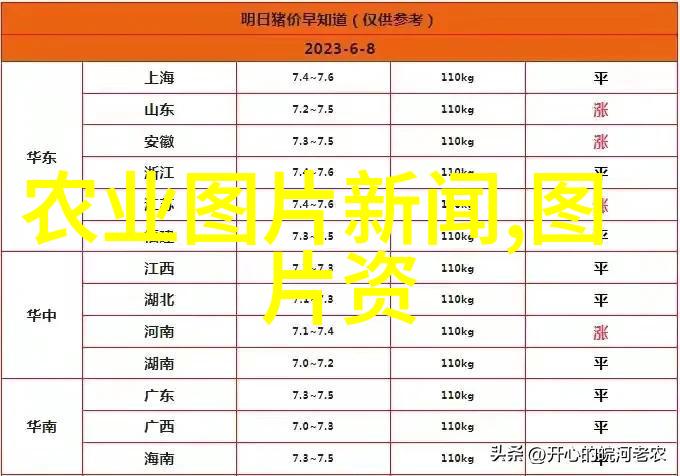 河南最大蔬菜种植基地我的绿色家园