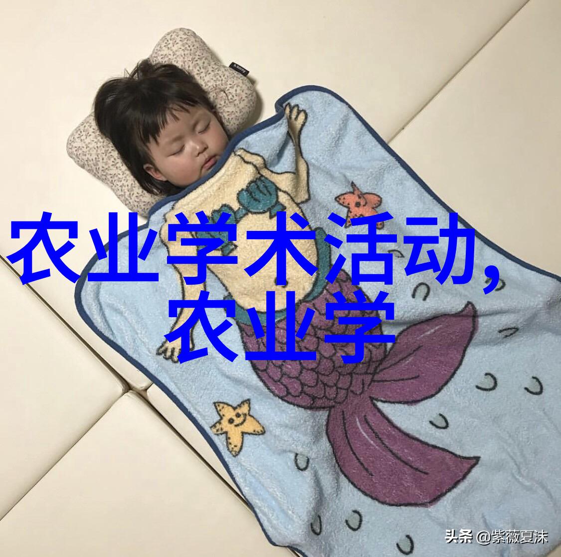 我自地狱来生存的逆袭