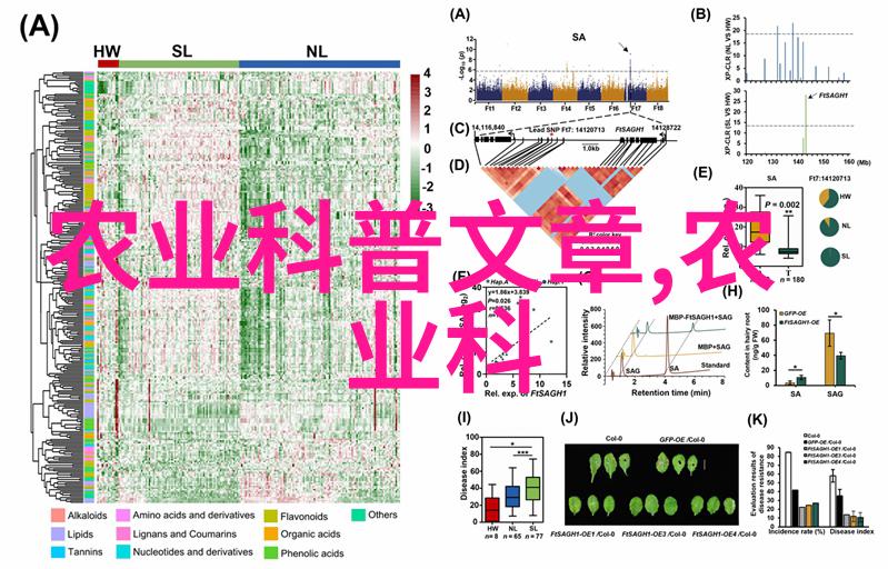 防病防虫措施实施预防性维护与治疗程序详解