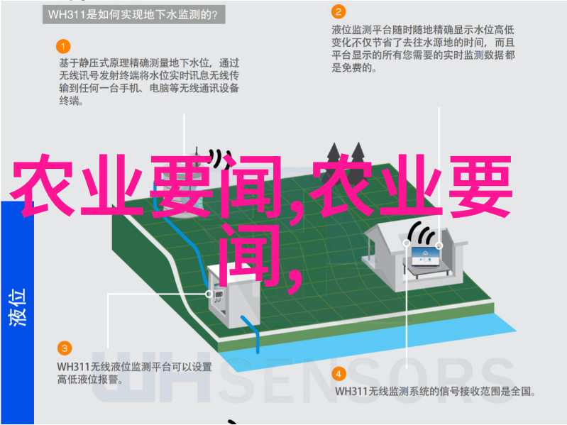 黑猪肉我在厨房里怎么炒出让人垂涎三尺的美味