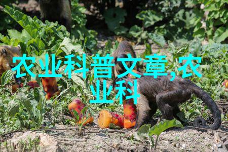 园艺热点-12公分木瓜树种植攻略与价格分析