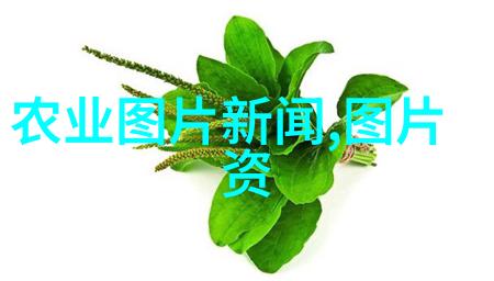 亳州中药材种植合作与加盟亳州中医药产业发展合作模式创新加盟入门指南