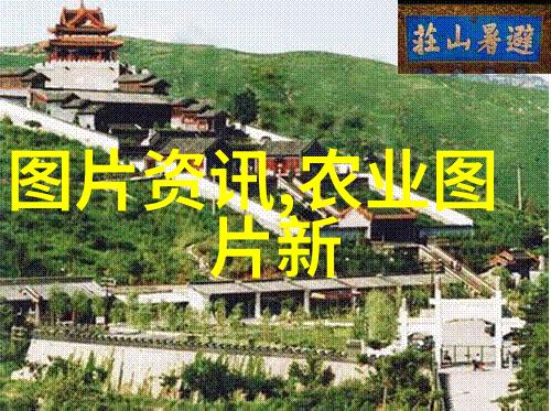 山东十大花卉批发基地之谜揭秘这些花海背后的故事与秘密