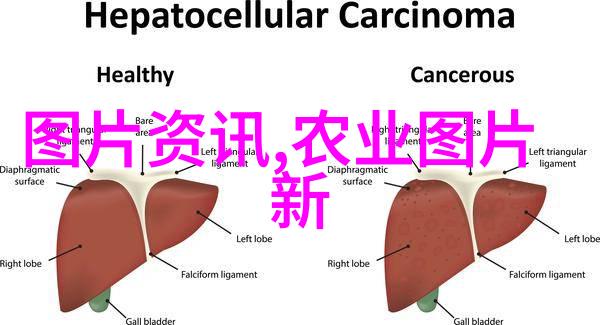 冬季养蜂技术和管理 - 守护冬眠高效冬季养蜂技巧与实用管理策略